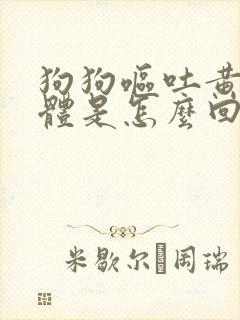 狗狗呕吐黄色液体是怎么回事