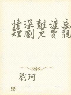 情深难渡忘归人短剧免费观看全集高清版