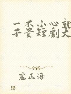 一不小心就母凭子贵短剧大结局