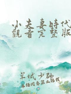 小夫妻时代免费观看完整版电视剧全集