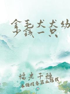 金毛犬犬幼犬多少钱一只