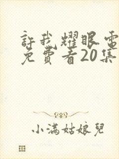 许我耀眼电视剧免费看20集