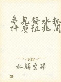 梦见发水抓鱼是什么征兆周公解梦