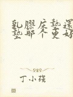 乳胶床垫还是棕垫哪个更好一些