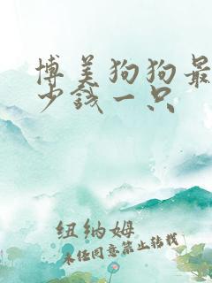 博美狗狗最贵多少钱一只