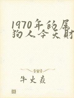 1970年的属狗人今天财运如何