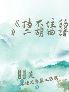 《挡不住的思念》二胡曲谱