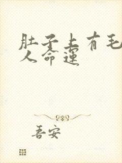 肚子上有毛的男人命运