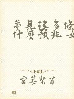 梦见很多条蛇是什么预兆 女性