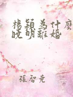 杨颖为什么和黄晓明离婚