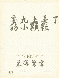 睾丸上长了白色的小颗粒