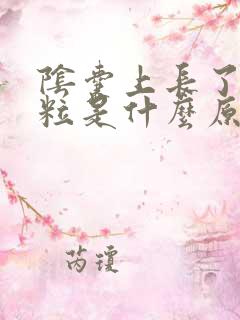 阴囊上长了小肉粒是什么原因