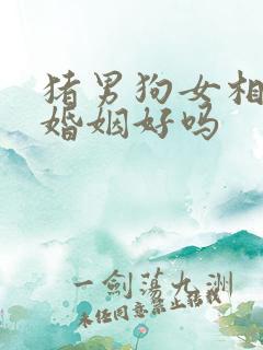 猪男狗女相配的婚姻好吗