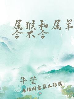 属猴和属羊婚姻合不合