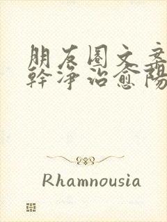 朋友圈文案短句干净治愈阳光励志