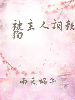 被主人调教的母狗