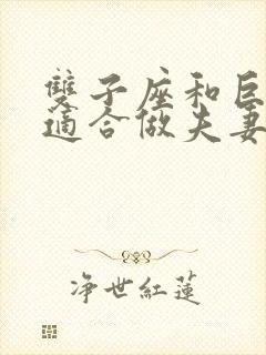 双子座和巨蟹座适合做夫妻吗