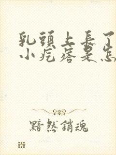 乳头上长了一些小疙瘩是怎么回事