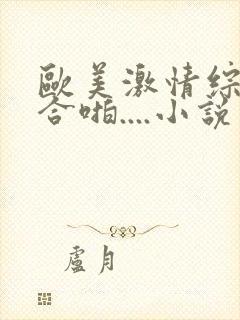 欧美激情综合综合啪....小说