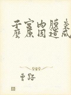 子宫内膜炎是什么原因造成的