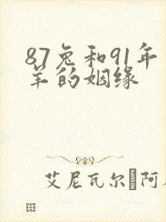 87兔和91年羊的姻缘