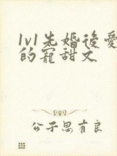 1v1先婚后爱的宠甜文