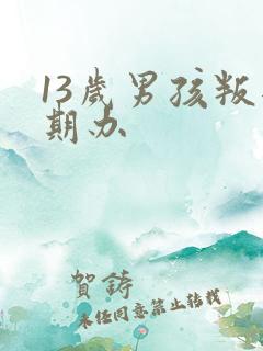 13岁男孩叛逆期办