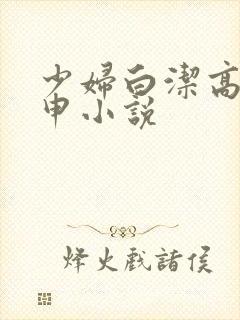 少妇白洁高义王申小说