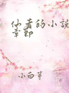 仙者的小说最新章节