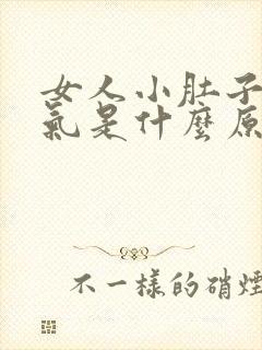 女人小肚子有胀气是什么原因