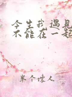 今生我遇见你却不能在一起是什么歌