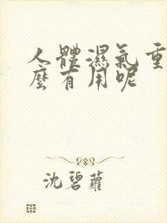 人体湿气重吃什么有用呢