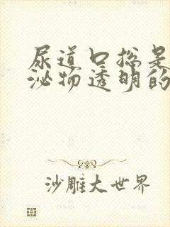 尿道口总是有分泌物透明的