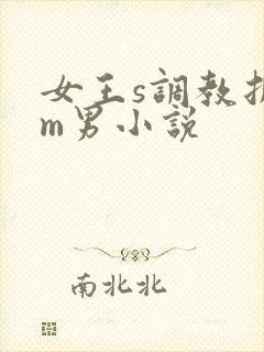 女王s调教折磨m男小说