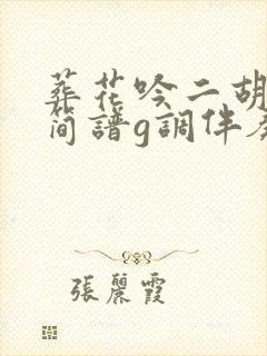 葬花吟二胡动态简谱g调伴奏