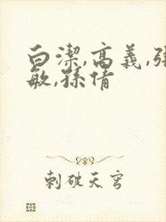 白洁,高义,张敏,孙倩