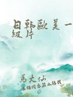 日韩欧美一级二级片