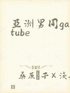亚洲男同gaytube