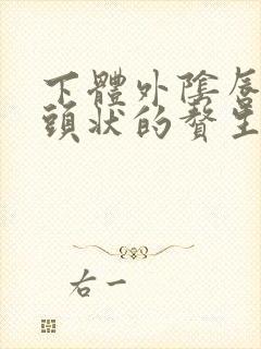 下体外阴唇上乳头状的赘生物