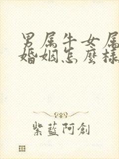 男属牛女属兔的婚姻怎么样