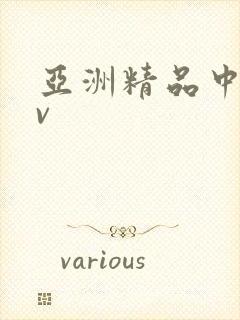 亚洲精品中文av