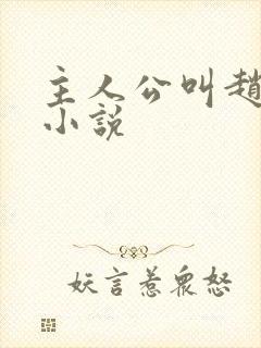 主人公叫赵凡的小说