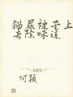 猫尿被子上怎么去除味道