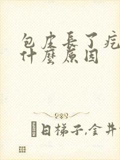 包皮长了疙瘩是什么原因