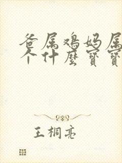 爸属鸡妈属狗要个什么宝宝好