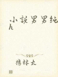 小说男男纯肉高h