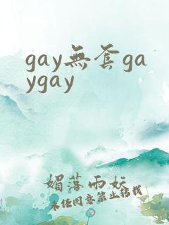 gay无套gaygay