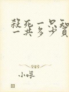 杀死一只知更鸟一共多少页