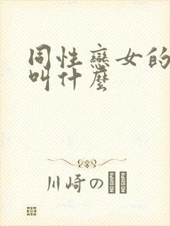 同性恋女的分别叫什么