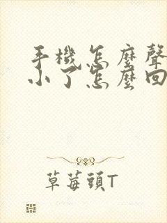 手机怎么声音变小了怎么回事